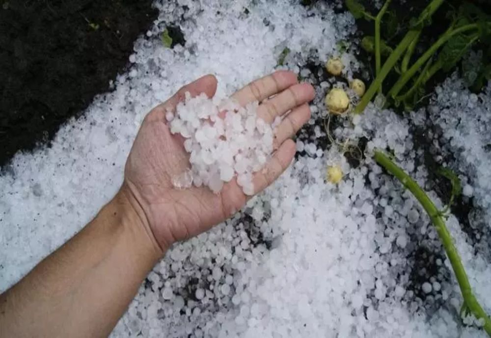 MINISTERUL AGRICULTURII A SUSPENDAT TRAGERILE CU RACHETE ANTIGRINDINĂ