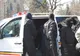 Grupare de spărgători de locuințe, surprinsă în flagrant delict de polițiști