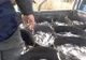 Bălţile folosite de pescarii gălăţeni au început să fie populate cu peşte