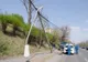I s-a făcut rău și a intrat cu mașina într-un stâlp de pe Faleză