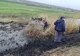 A ieşit în decor după ce a încercat o depăşire riscantă
