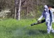 O nouă etapă de combatere a căpușelor, în municipiul Galaţi