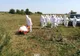 Mistreți morți de pestă descoperiți în Pădurea Gârboavele