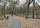 Pestă porcină africană la Grădina Zoologică de la Gârboavele