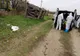 Lebădă găsită moartă pe un canal de către un pescar