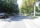Campania de plantare de arbori continuă