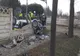 Doi tineri din județul Galați au murit în această dimineață într-un accident rutier grav la Bârlad - FOTO