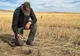 Agricultura afectată de secetă