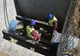 Punere în funcțiune a 6 km de conductă magistrală nouă pentru aducțiunea de la Vadu-Roșca