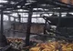 Incendiu la un hambar