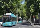 Noi tipuri de abonamente şi gratuităţi în transportul public din Galați
