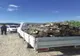 Dosare penale pentru tăieri ilegale de arbori și furt de material lemnos 