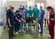 Femelă alpaca, de la Zoo Galați, tratată cu succes de râie sarcoptică la USAMV Cluj-Napoca