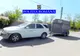 Cal maltratat de stăpân în comuna Fântânele