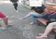 Spărgătorii de semințe sancționați de polițiștii locali gălățeni