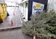Lăsați brazii naturali la punctele de colectare a gunoiului