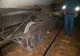 Tren deraiat, vineri, între stațiile Filești - Cătușa