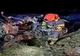 Accident mortal în Ialomița. Șeful Serviciului Imigrări din Galați a decetat în urma accidentului, iar soția și copilul său sunt răniți