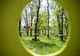 Parcul de Aventură EscapeLand inaugurat în apropiere de Galați