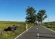 A pierdut controlul volanului și s-a răsturnat cu autoturismul pe DN 24D