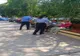 Ziua Europeană de prevenire a furturilor din locuinţe 