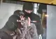 TUDOR DUMA, ZIS ”MARU”, REȚINUT DE DIICOT DUPĂ MOARTEA TÂNĂRULUI DE 20 DE ANI DIN CAUZA UEI SUPRADOZE