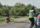 Bărbat lovit de o maşină în Galaţi. Șoferul a fugit de la locul accidentului