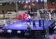 Doi juniori români, calificaţi în finalele Europenelor de box de la Galaţi