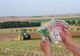 Au fost publicate condițiile de accesare a fondurilor europene pentru tineri fermieri, ferme mici și pentru cooperare în sectorul agricol și pomicol