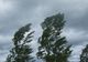 Meteorologii au emis un Cod Galben de vânt în 8 judeţe 